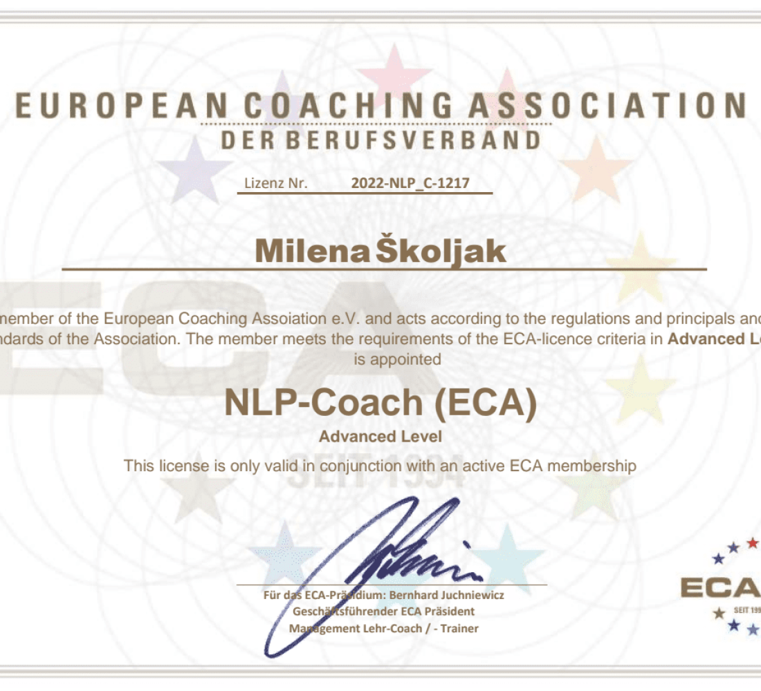 ECA licenca